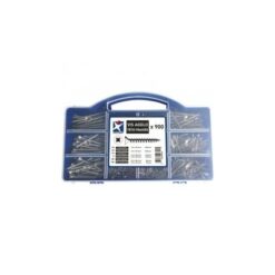 Coffret De Vis à Bois Tête Fraisée Pozidriv MASTER PRO "82519" De 900 Vis